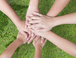 Basic Sustainability Policy